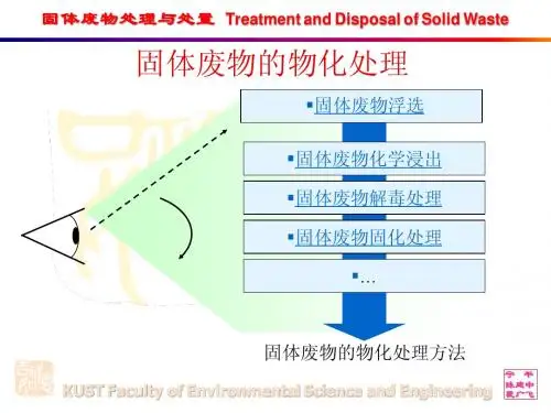 固体废弃物处理与处置_宁平_物化处理