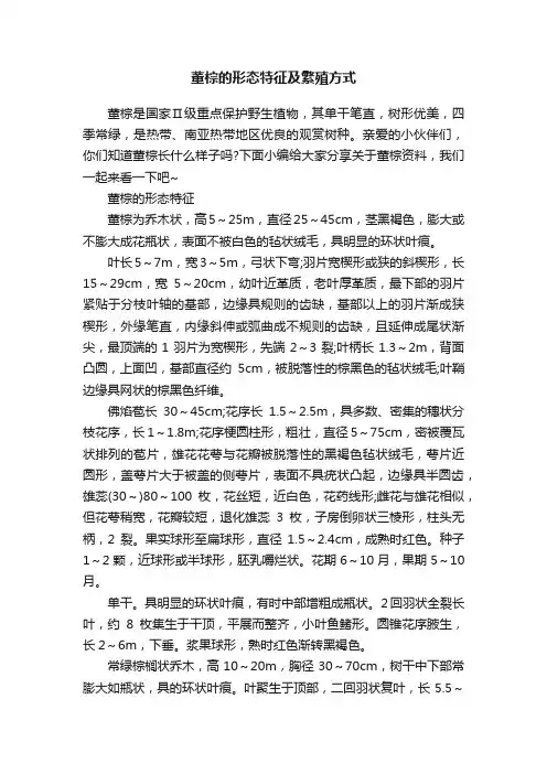 董棕的形态特征及繁殖方式