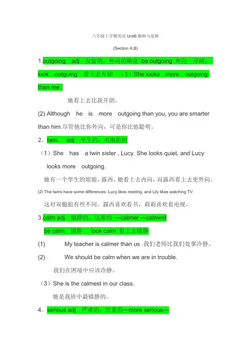 【同步辅导】八年级上 Unit 6 I’m more outgoing than my sister.