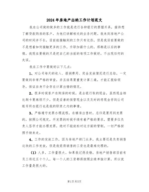 2024年房地产出纳工作计划范文（三篇）