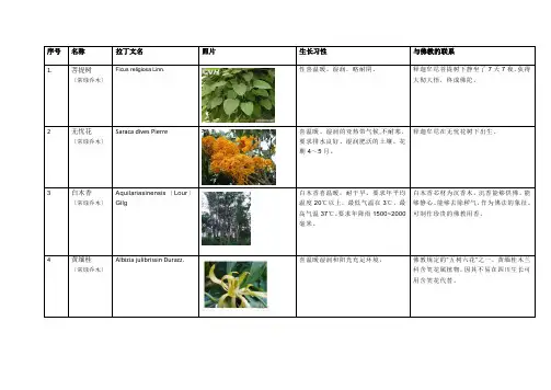 与佛教有关的植物(按乔木灌木分)
