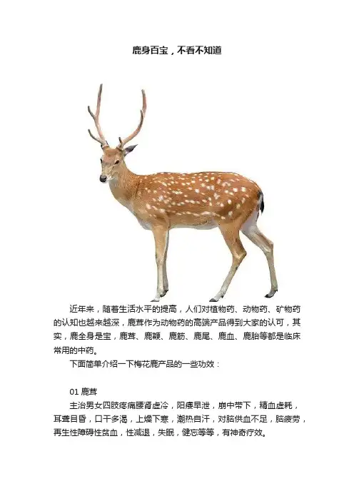 鹿身百宝，不看不知道