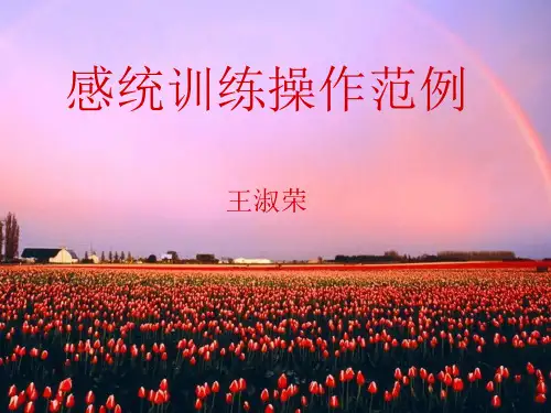 感统训练操作范例课件