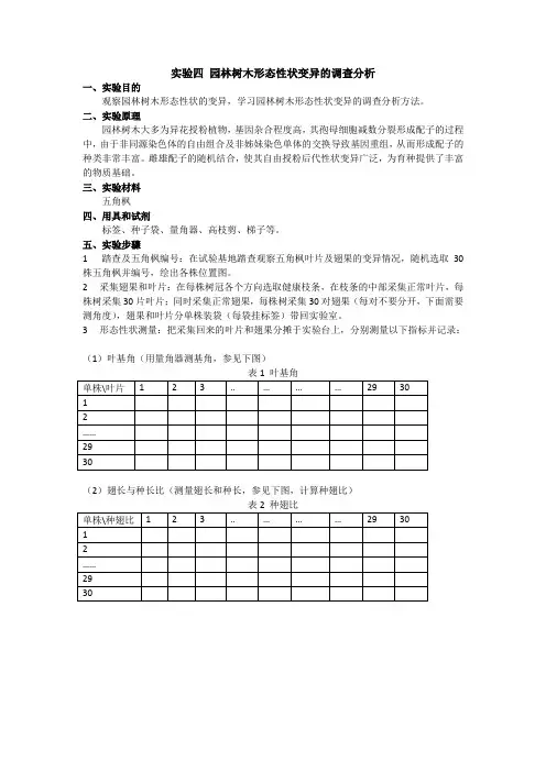 实验2