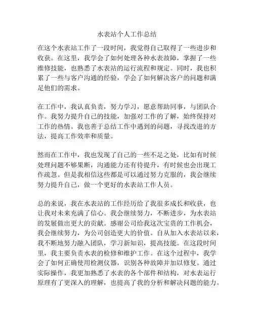 水表站个人工作总结