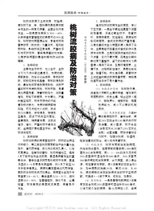 桃树流胶病及防治对策