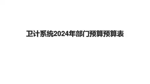 卫计系统2024年部门预算预算表.pptx