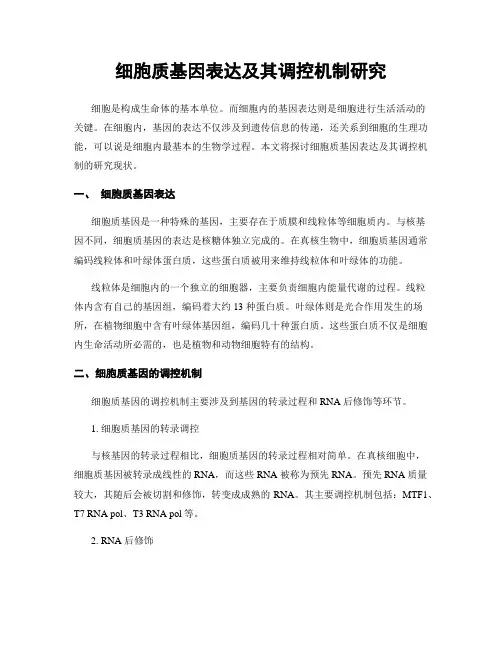 细胞质基因表达及其调控机制研究