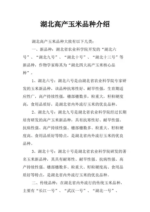 湖北高产玉米品种介绍