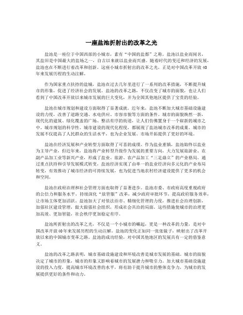 一座盐池折射出的改革之光