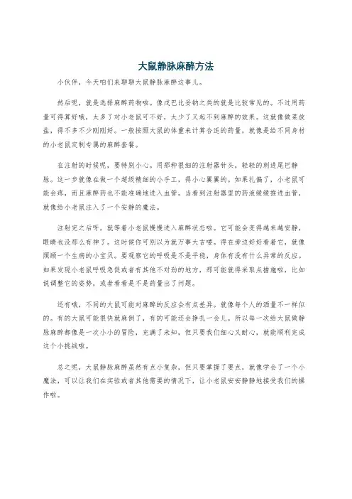 大鼠静脉麻醉方法