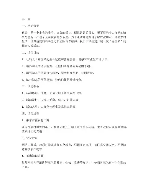 大班社会实践活动掰玉米(3篇)