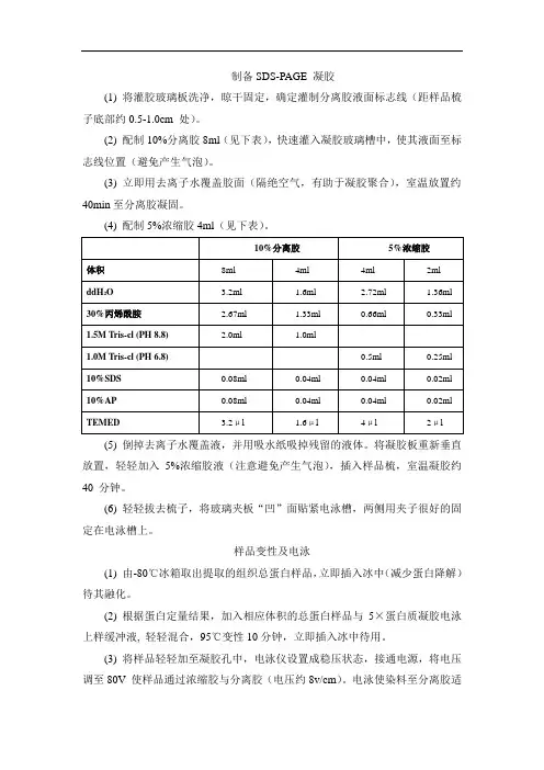 western实验步骤