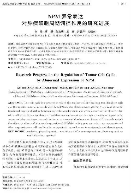 NPM异常表达对肿瘤细胞周期调控作用的研究进展