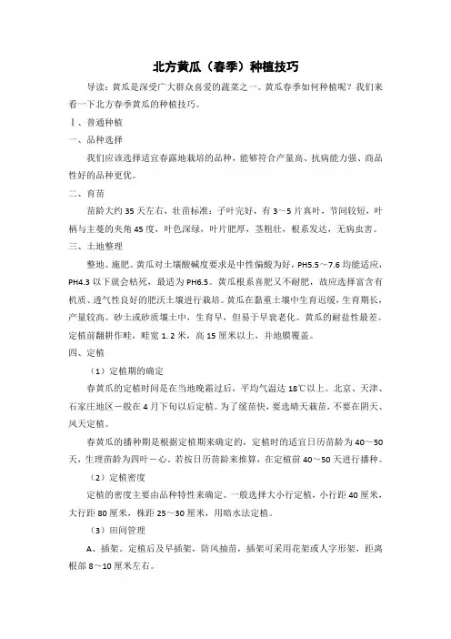 北方黄瓜(春季)种植技巧