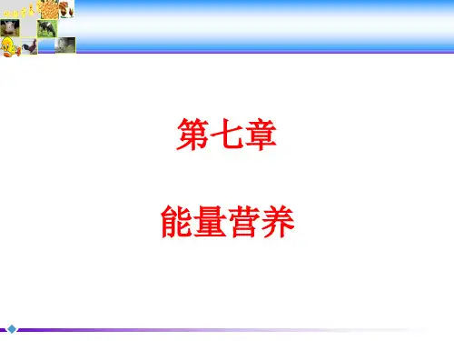 动物营养学：第七章 能量营养