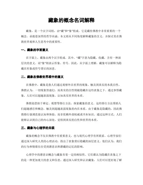 藏象的概念名词解释
