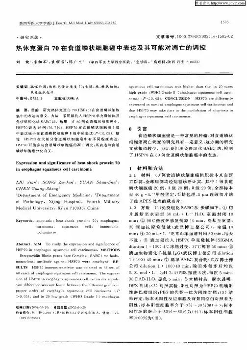 热休克蛋白70在食道鳞状细胞癌中表达及其可能对凋亡的调控