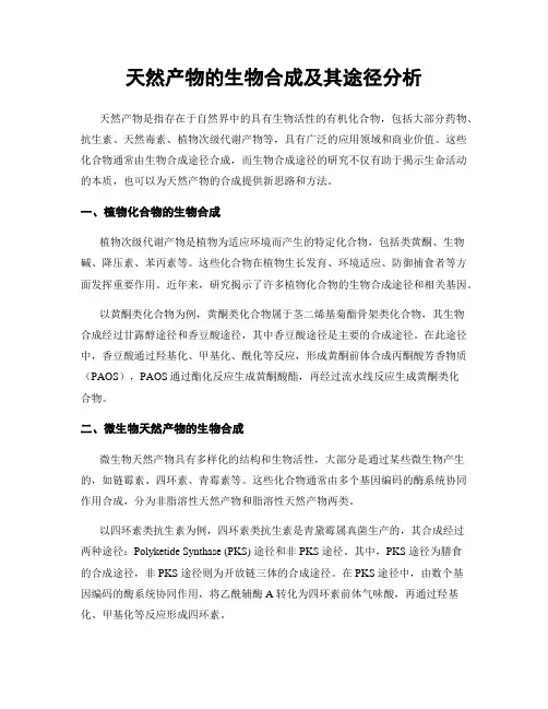 天然产物的生物合成及其途径分析