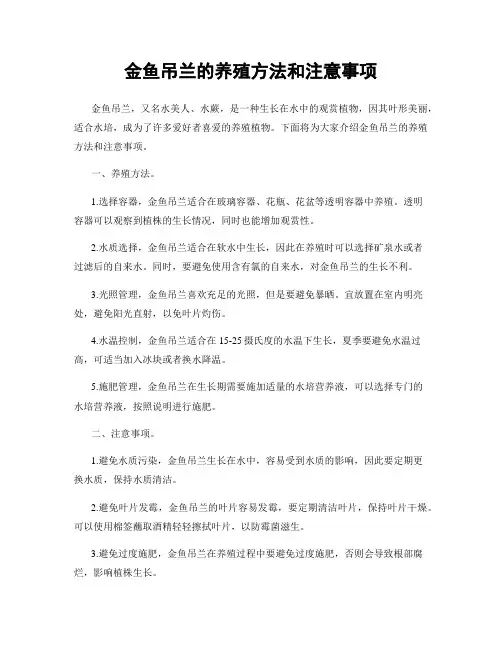 金鱼吊兰的养殖方法和注意事项