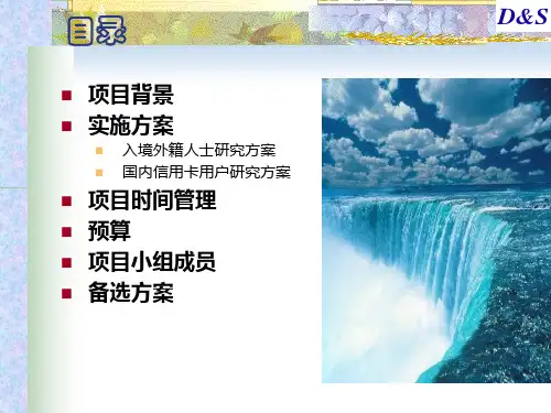 中国网通公共传播项目策划PPT33页