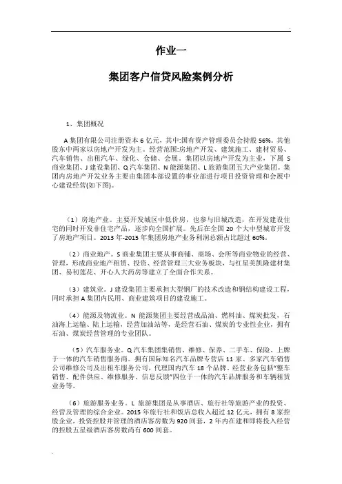 集团客户信贷风险案例分析