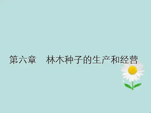 林木种子生产以及经营