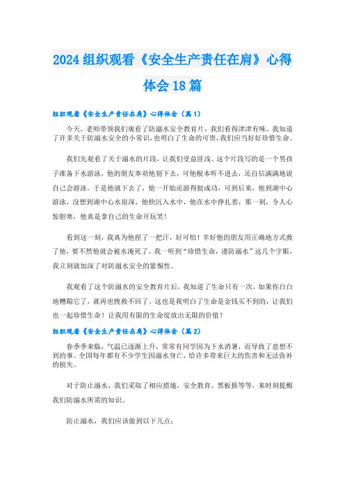 2024组织观看《安全生产责任在肩》心得体会18篇