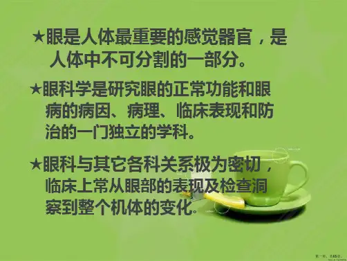 眼部解剖结构