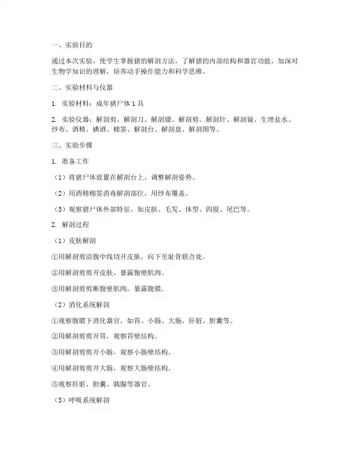 猪的解剖实验报告