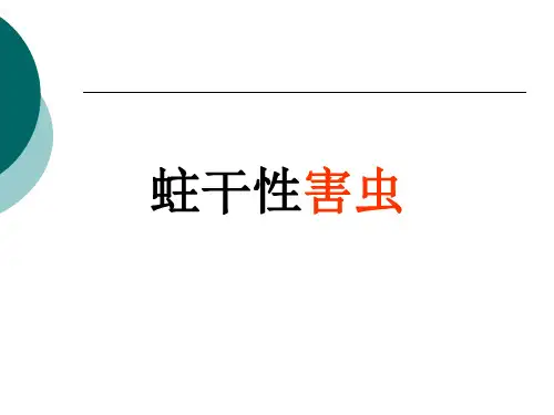 昆虫学蛀干类害虫