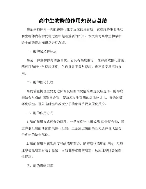 高中生物酶的作用知识点总结