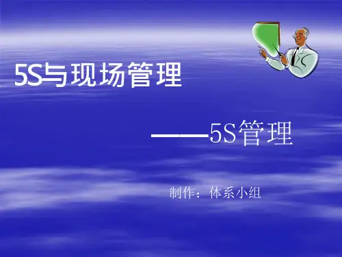 5S管理培训教程课件