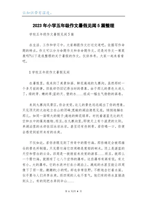 2023年小学五年级作文暑假见闻5篇整理