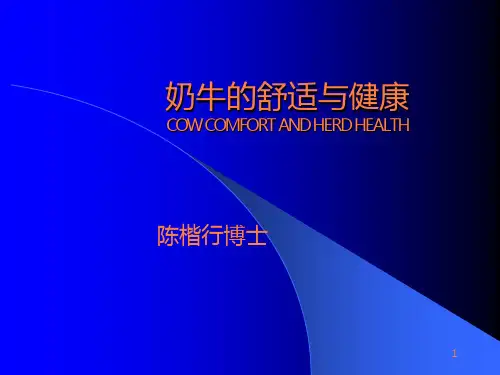 奶牛的舒适与健康PPT课件