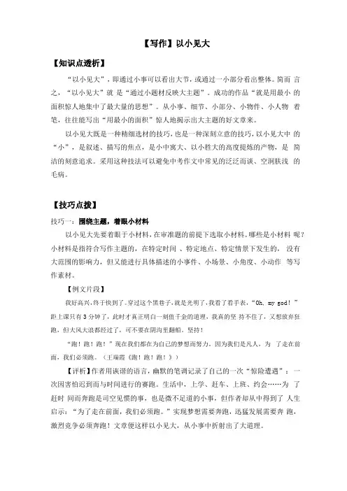 写作手法：以小见大
