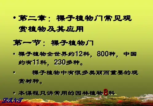 植物学PPT课件
