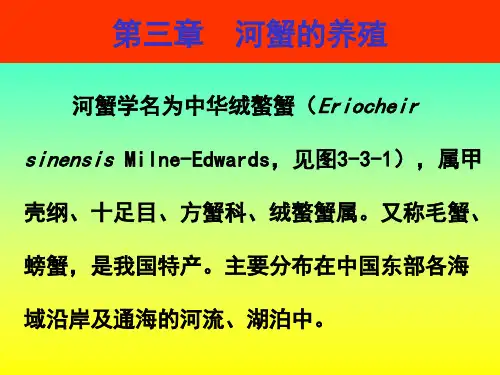 河蟹养殖ppt