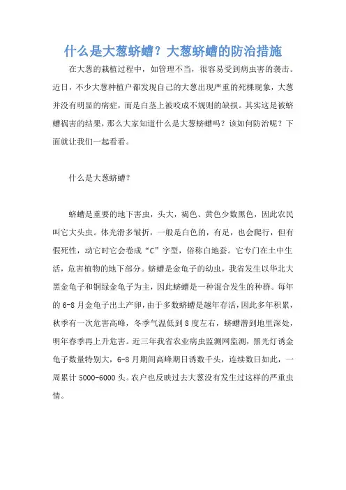 什么是大葱蛴螬？大葱蛴螬的防治措施