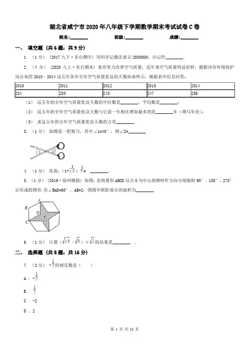 湖北省咸宁市2020年八年级下学期数学期末考试试卷C卷