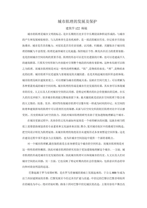 城市肌理的发展及保护
