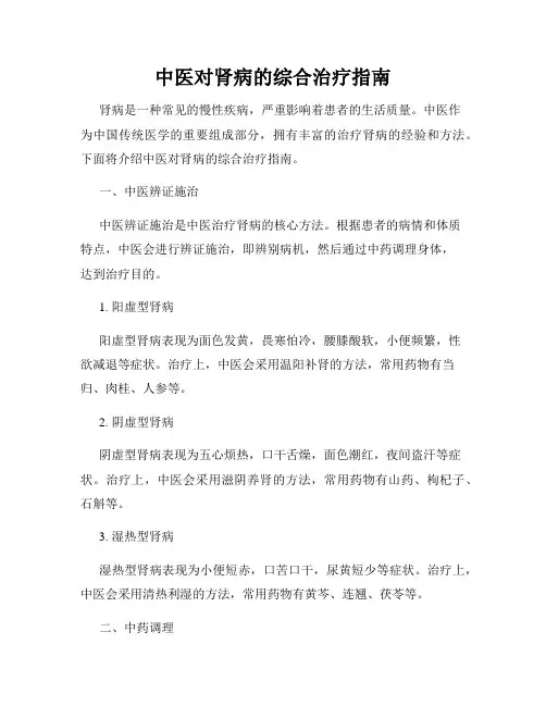 中医对肾病的综合治疗指南