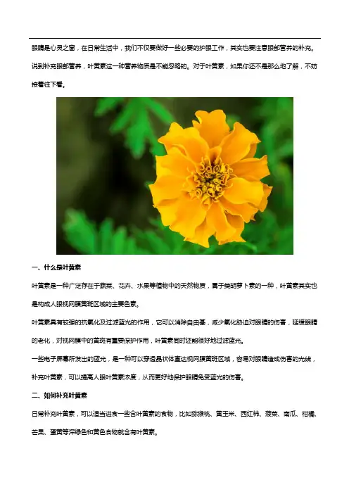 叶黄素对眼睛有好处,补充叶黄素哪个牌子好？