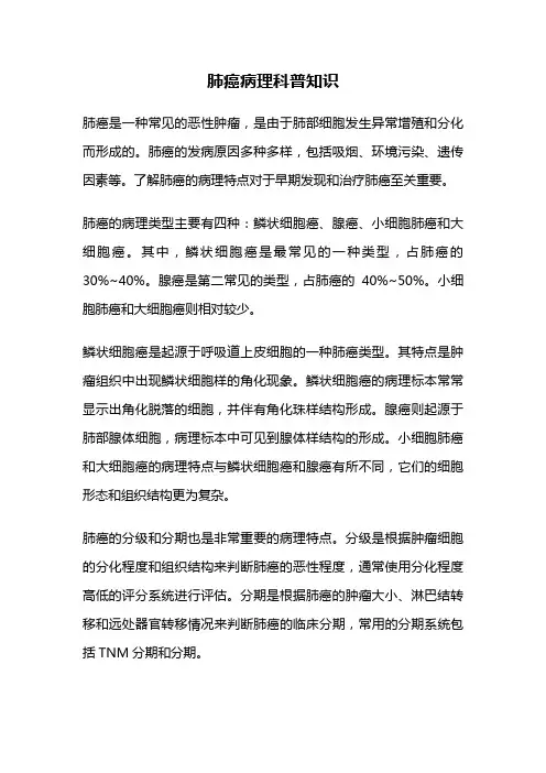 肺癌病理科普知识