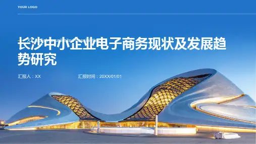 长沙中小企业电子商务现状及发展趋势研究