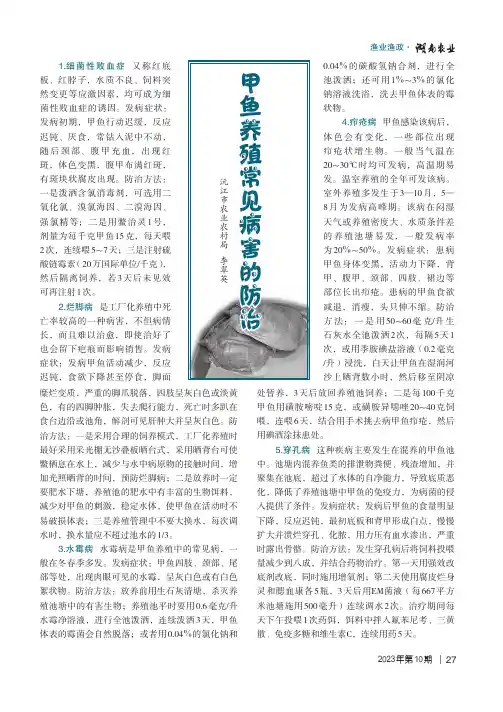 甲鱼养殖常见病害的防治