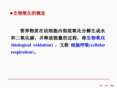 生物化学生物氧化PPT课件