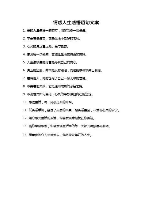 情感人生感悟短句文案