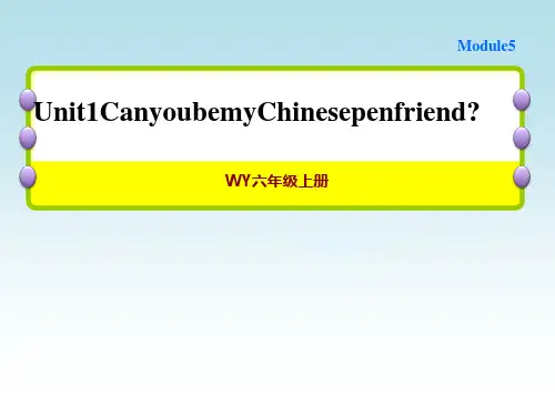 外研版六年级上册英语Module 5 Unit 1 Can you be my Chines作业课件