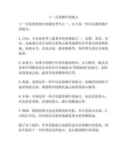十一月看枫叶的地方